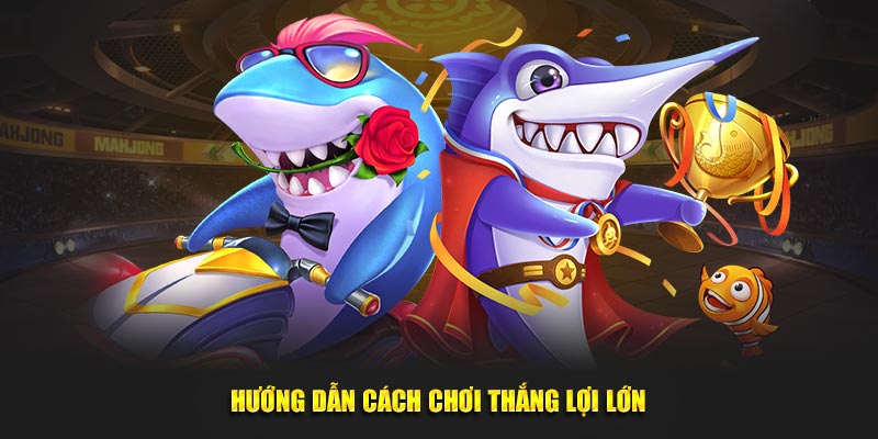 Hướng dẫn cách đi săn có cơ hội thắng lợi lớn
