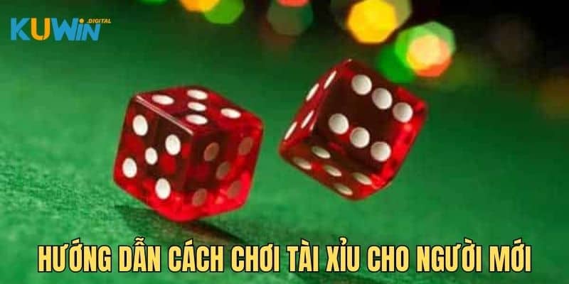 Hướng dẫn cách chơi tài xỉu cho người mới