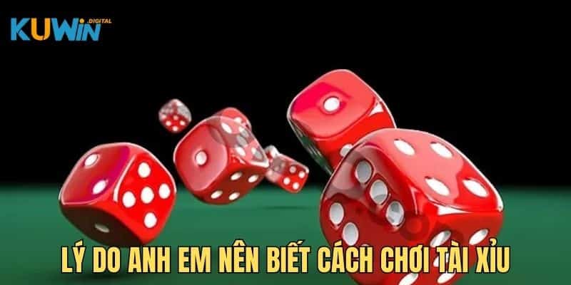 Lý do thành viên nên biết cách chơi tài xỉu